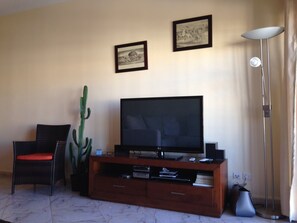 Télévision, lecteur de DVD, livres