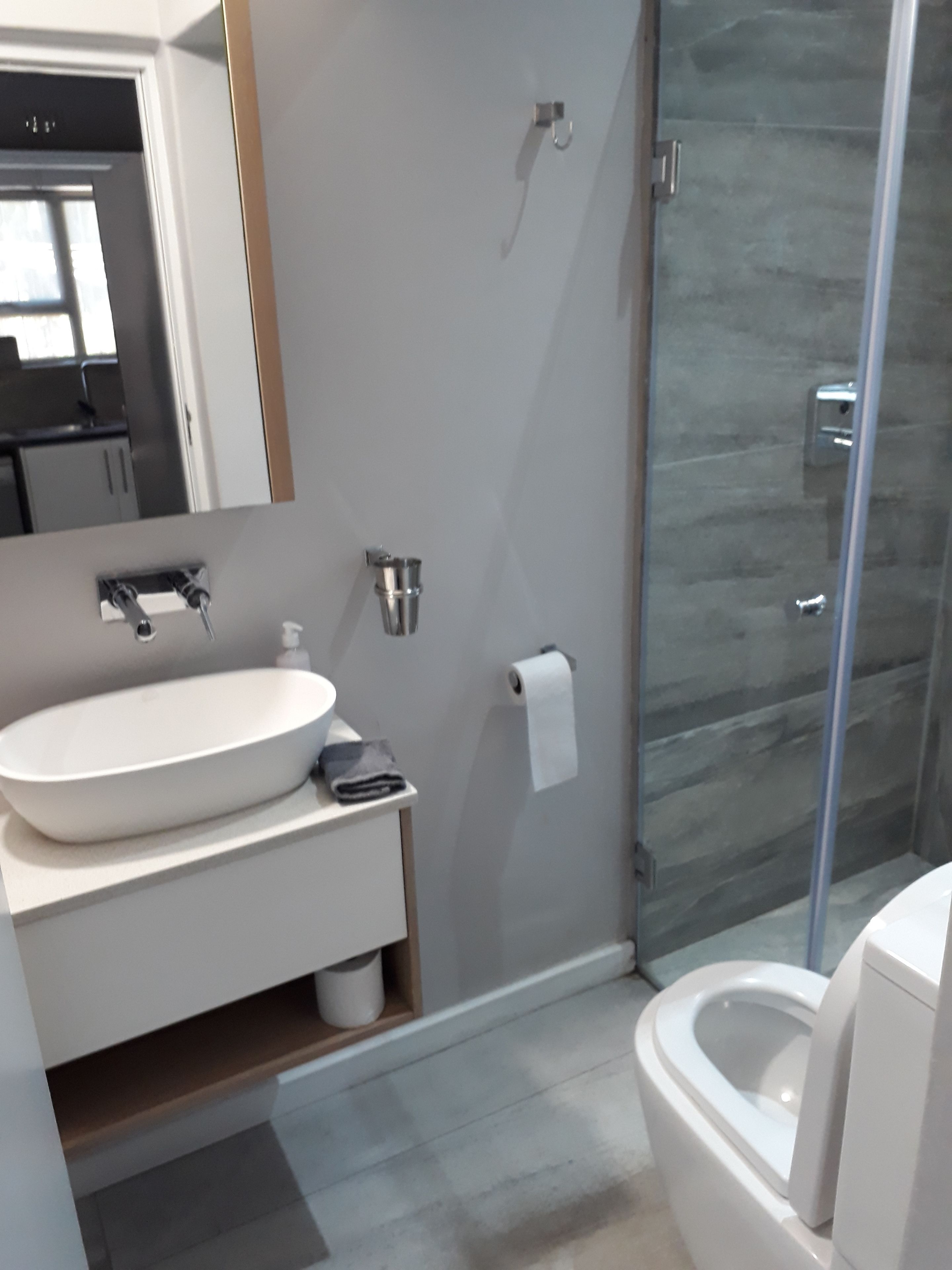 A modern bathroom with a large white sink, a mirror, a toilet, and a glass shower enclosure.