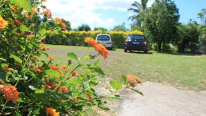 A pathway leading to a parked car, surrounded by greenery and flowering plants.