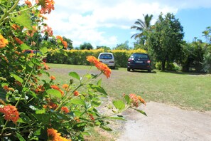 Property grounds - Apartment T2 *** for 4 persons (La Rivière Saint Louis)