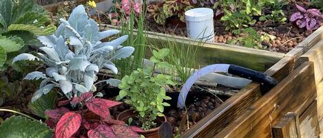Traditional-Doppel- oder -Zweibettzimmer | Terrasse/Patio