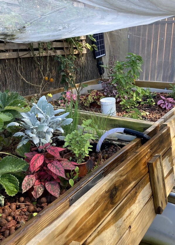 Traditional Double or Twin Room | Terrace/patio - Cobb & Co Lodge (Queenscliff)