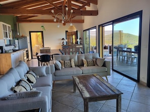 TV, fireplace, books, music library