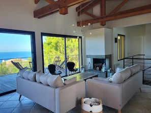 TV, fireplace, books, music library