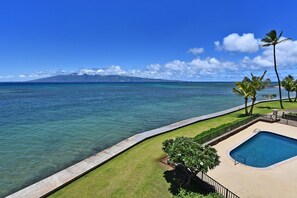 Pool - Amazing Sunsets Oceanfront Views  - indigomaui - (Lahaina)