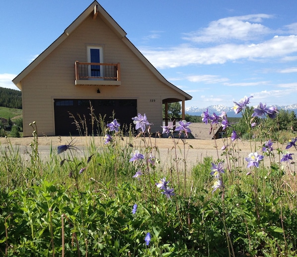Property grounds - Enjoy Our New House In Historic Leadville, including your pets. (Leadville)