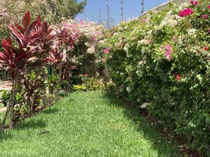 Property grounds - BEST VALUE & LOCATION IN NUEVO VALLARTA; Only long term (Nuevo Vallarta)