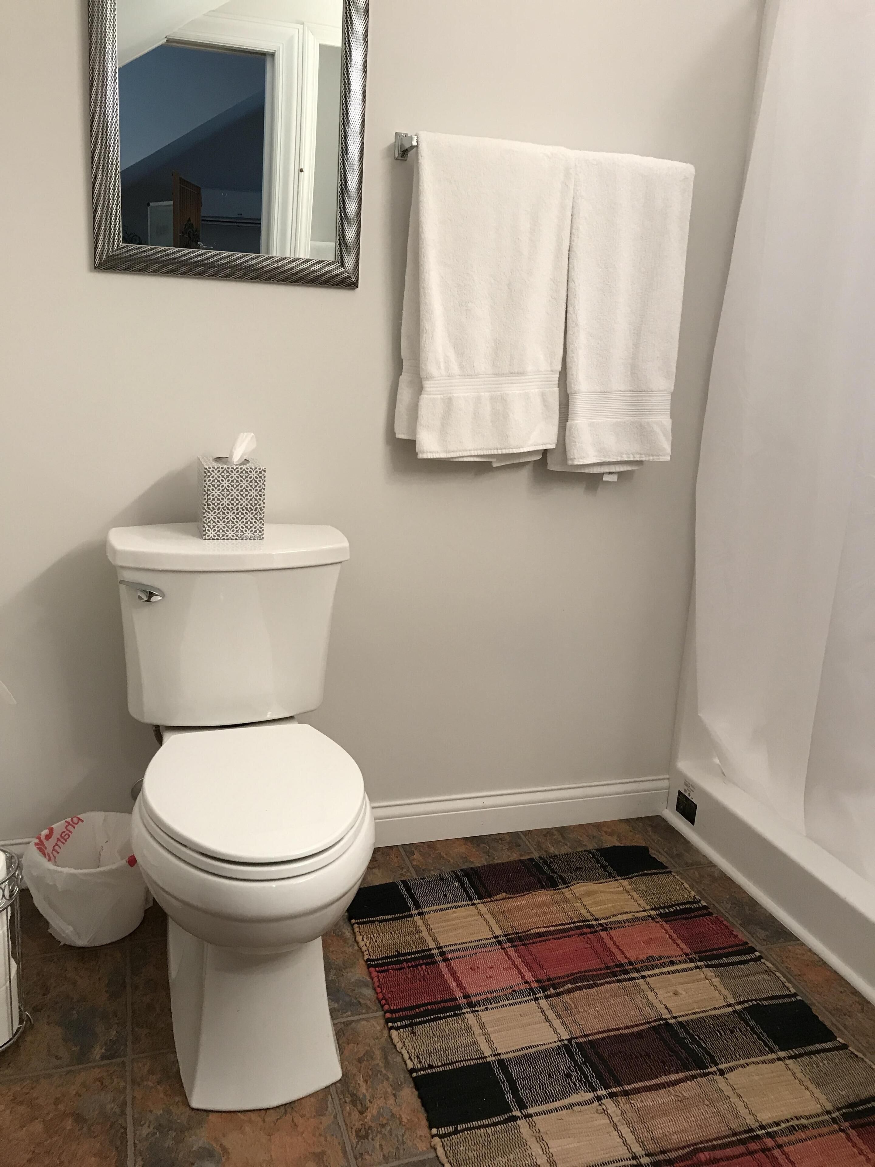 Secadora de cabello, toallas, jabón, shampoo 