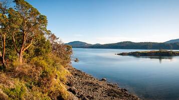 Accommodatie ligt op het strand, strandlakens
