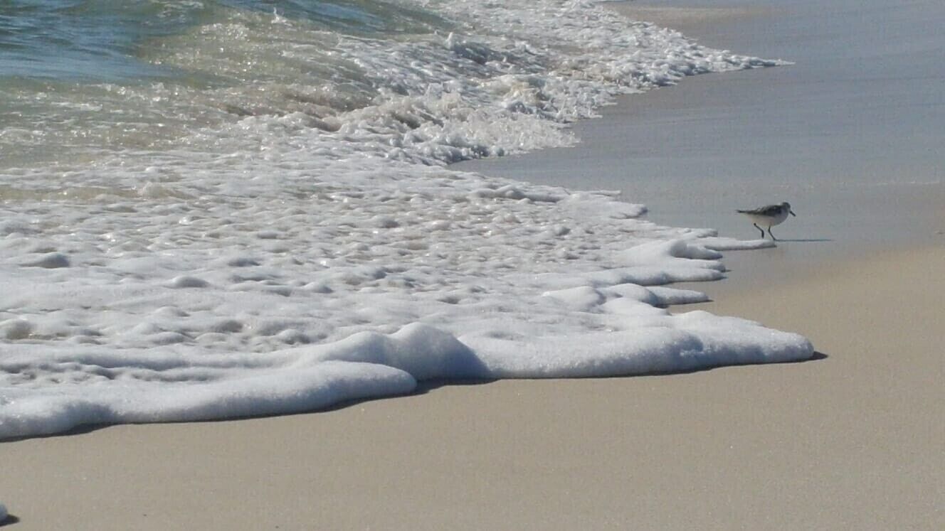 Beach nearby, sun loungers, beach towels
