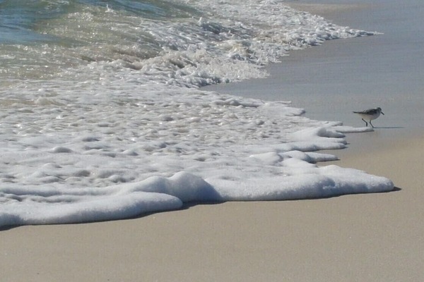 Tæt på stranden, liggestole, badehåndklæder