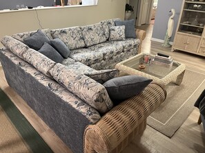 Smart TV, video games, DVD player, books