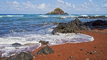 Serviettes de plage