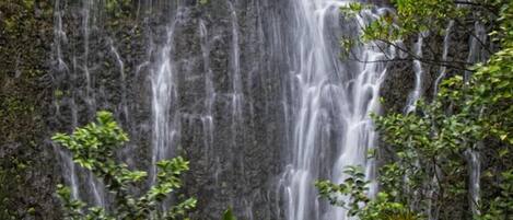 Una cascada se precipita por un risco rocoso rodeado de exuberante vegetación.