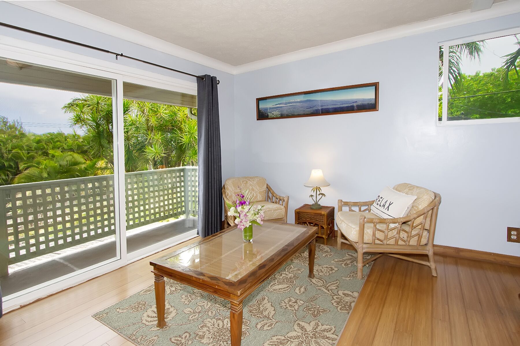 智能电视、壁炉、DVD 播放器、乒乓球