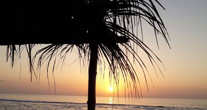 Guicci Resort - Playa Corona beach