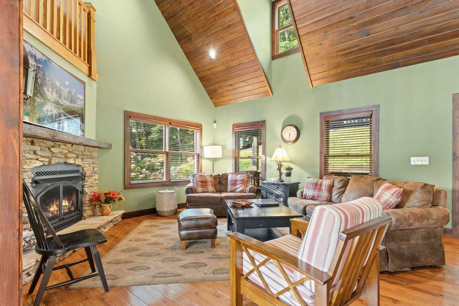 Smart TV, chimenea y libros 