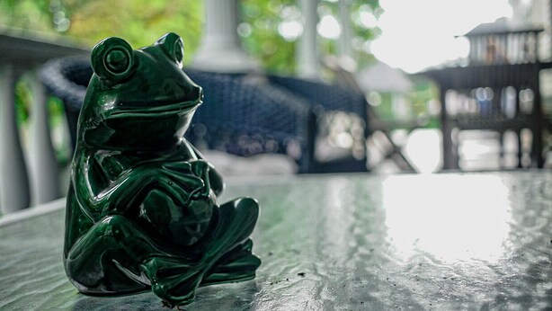 Una figurita de rana verde sobre una superficie reflectante.