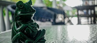 Mansion Near Casinos 9BR