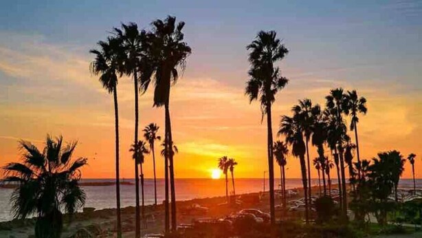 A sunset over a beach with palm trees and a clear sky. - A/C and 3 balconies to enjoy the sun. Beach gear and Traeger included (San Diego)