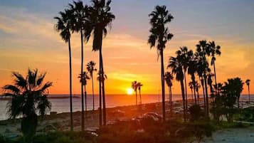Plage à proximité, chaises longues, serviettes de plage