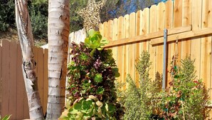 A garden with a tall succulent plant, a large terracotta pot, and a wooden fence. - Private Home great single story home. Plenty of space for the family. (San Diego)