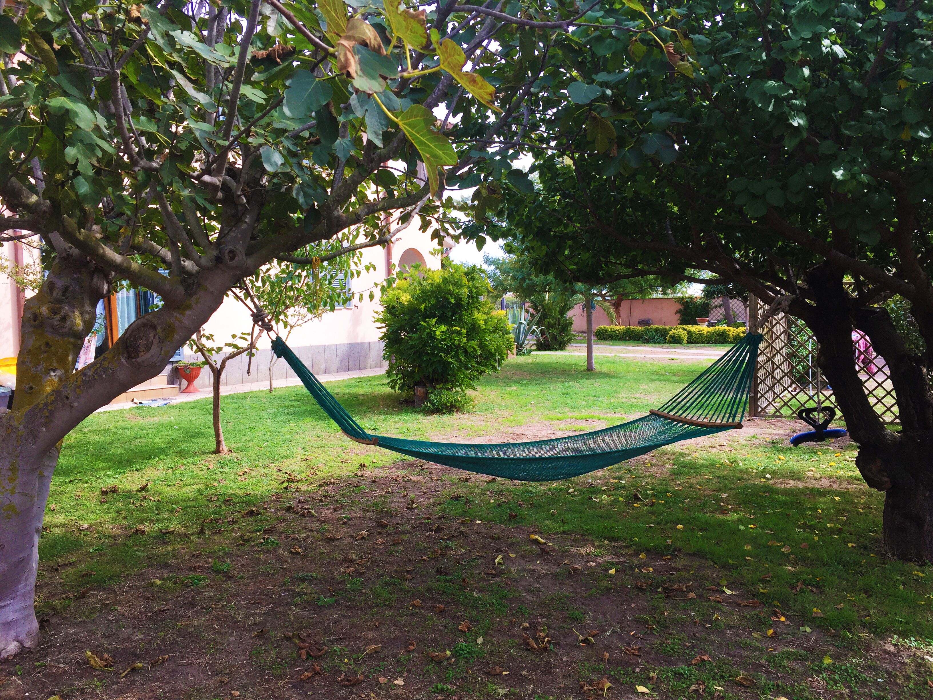A hammock under a tree in a grassy area with a building in the background.