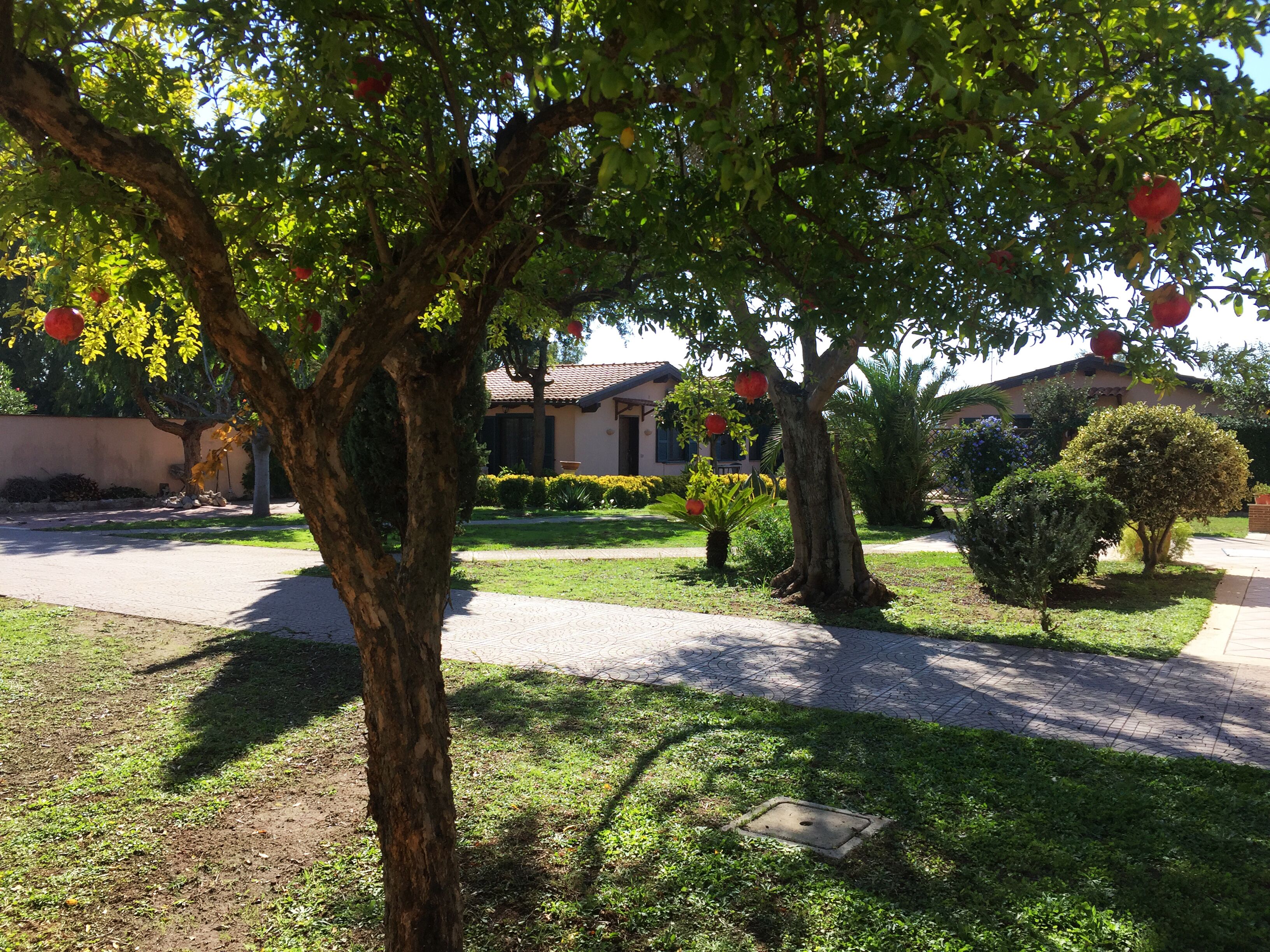 Parco della struttura