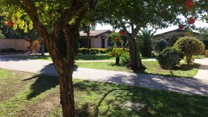 A residential area with a paved driveway, a lawn, and a house with a tiled roof. - Large appartment near the Airport, private free parking (Fiumicino)