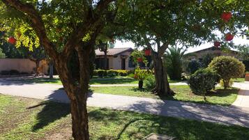 Parco della struttura