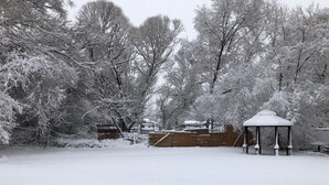 Een besneeuwde buitenruimte met een tuinhuisje en bomen.