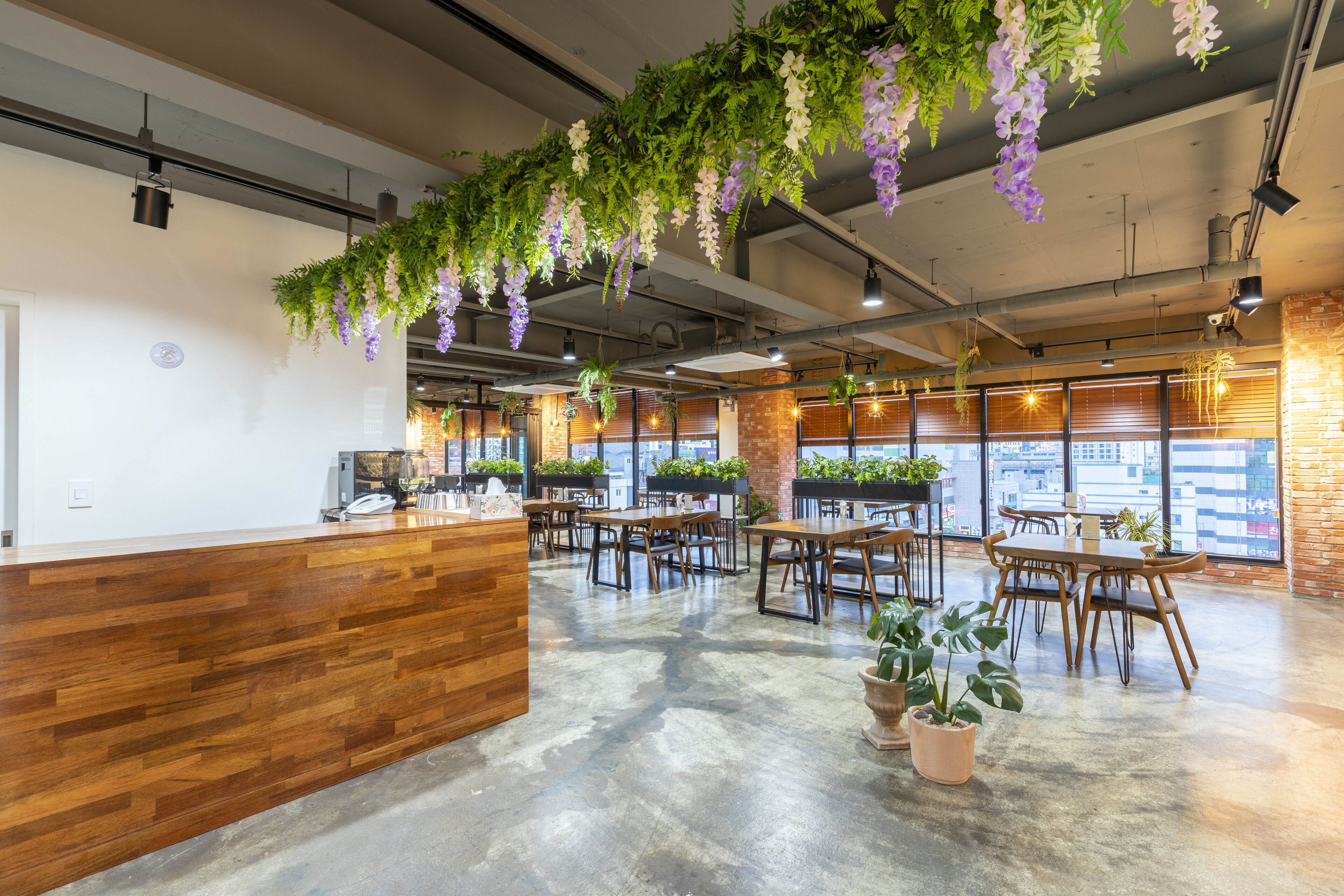 Un café amplio con mesas y sillas de madera, una recepción y plantas colgantes.