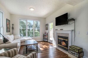 TV, fireplace, video games, DVD player