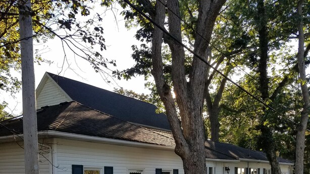 A white single-story house with a white picket fence, surrounded by trees and a pile of fallen leaves. - Very Clean, Well-appointed Cottage (Lakeside Marblehead)