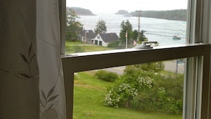A window with a view of a grassy area and a body of water.
