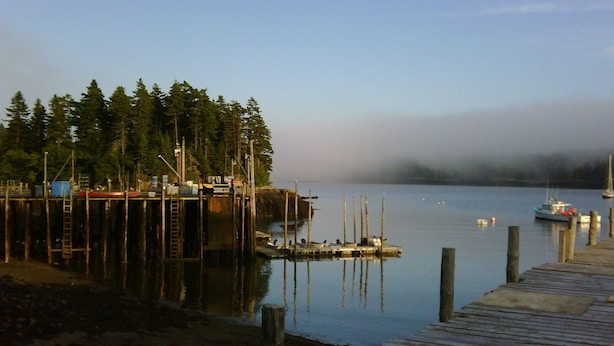 A dock extending into calm waters with boats, surrounded by dense forest.