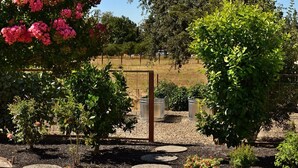 Un jardín con diversas plantas y una estructura de pérgola de madera.