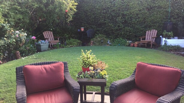 Un jardin avec deux fauteuils en osier, une petite table sur laquelle est posée une plante, et une haie en arrière-plan.