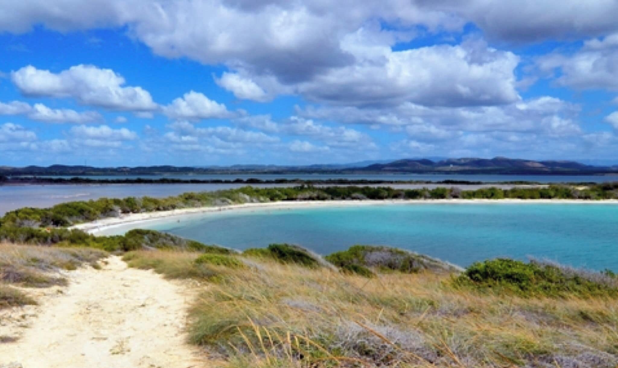 A coastal landscape with a sandy path leading to a beach, surrounded by greenery and a clear sky.