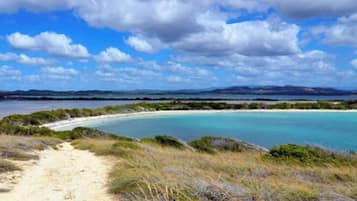 A coastal landscape with a sandy path leading to a beach, surrounded by greenery and a clear sky.