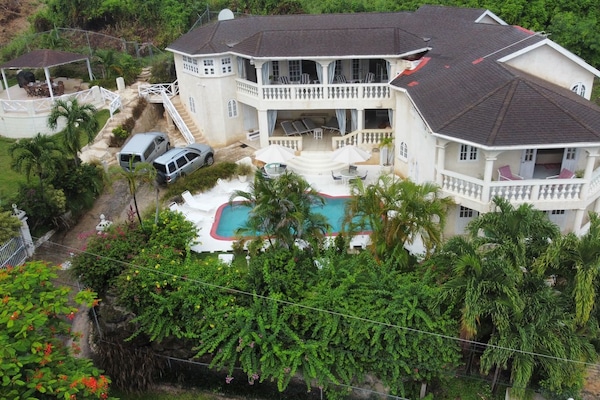A bird's eye view