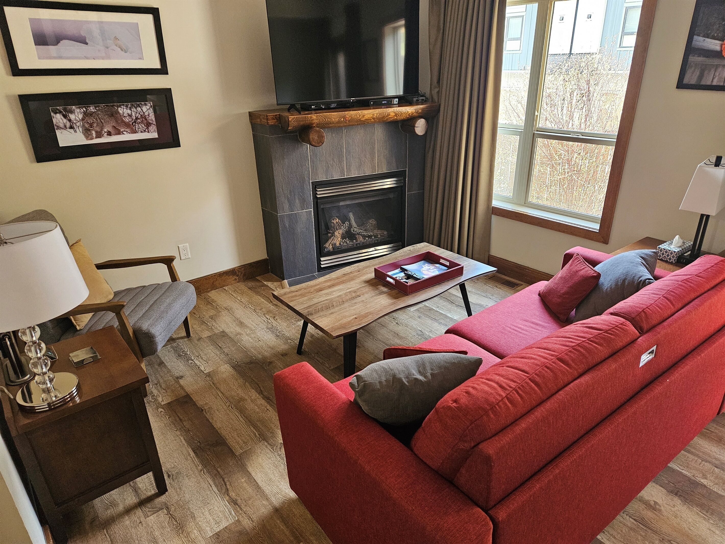 Smart-tv, pejs, videospil, dvd-afspiller