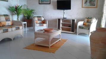 Smart TV, books, stereo
