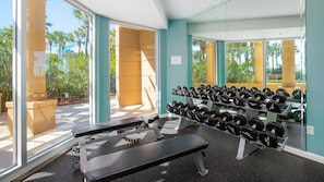 A gym with weight benches, dumbbells, and a bench press.