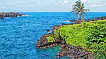 Serviettes de plage