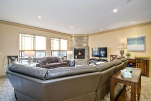 Télévision, cheminée, lecteur de DVD, livres