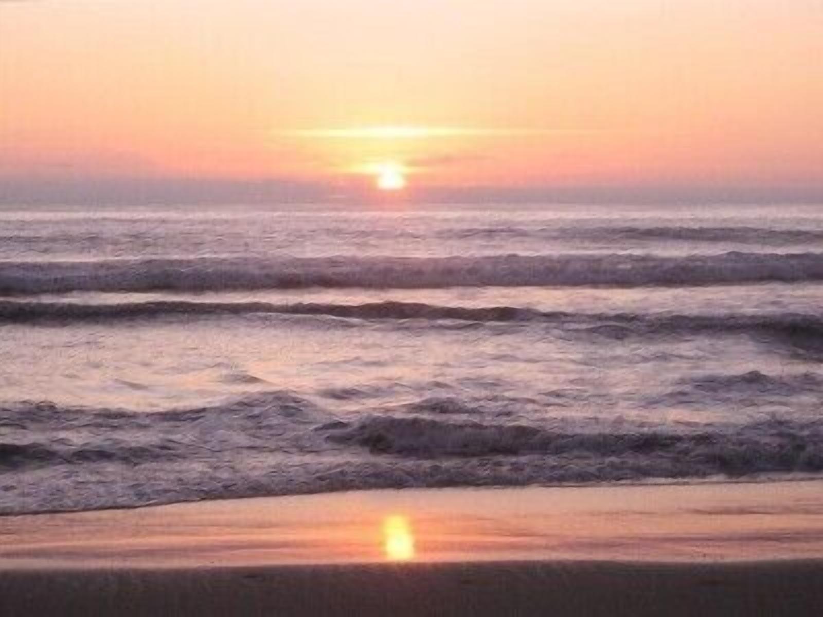 Playa en los alrededores, camastros y toallas de playa 
