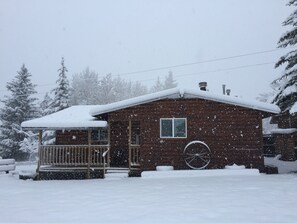 Exterior - Big Bear Cabin at White Mountain Lodge (Greer)