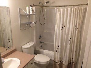 Tina con regadera, secadora de cabello, toallas, jabón 