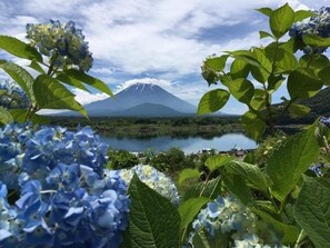 View from property - Shoji Mount Hotel (Fujikawaguchiko)